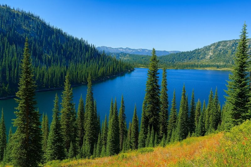 Local Removable Pool Fence Service in Payette, ID