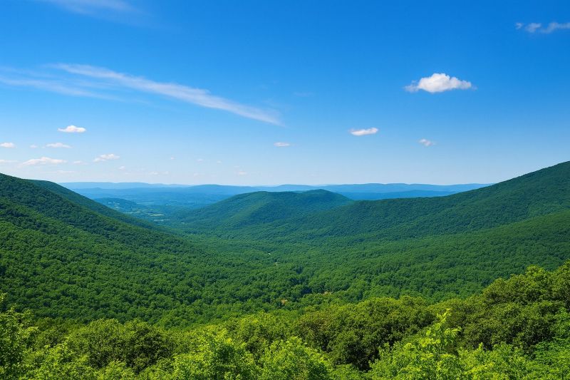 Local Removable Pool Fence Service in Forest, VA