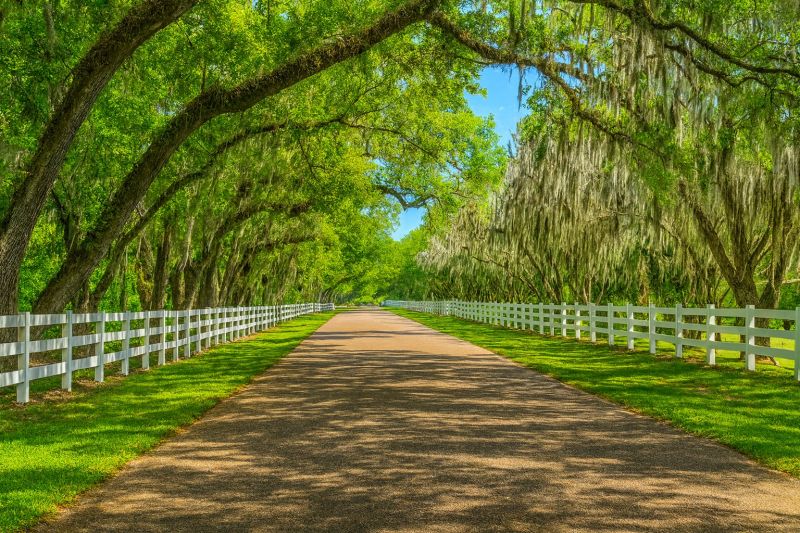 Local Removable Pool Fence Service in Breaux Bridge, LA