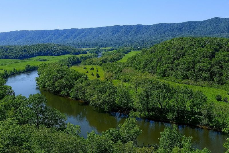 Local Removable Pool Fence Service in Front Royal, VA