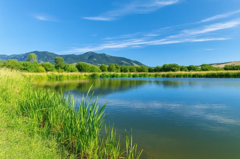 Local Removable Pool Fence Service in Belgrade, MT