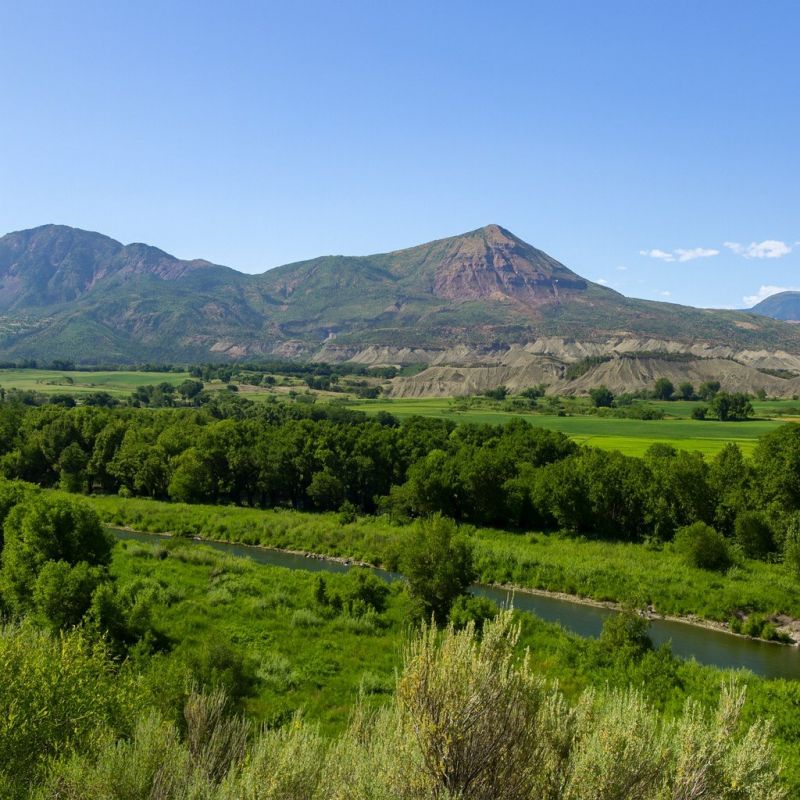 Local Removable Pool Fence Service in Delta, CO