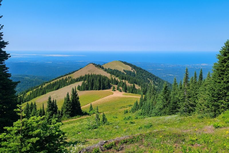 Local Removable Pool Fence Service in Deer Park, WA