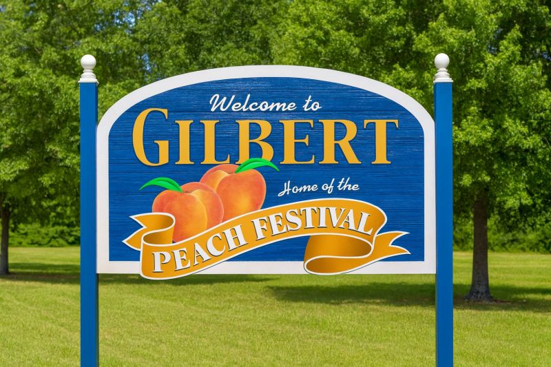 Local Removable Pool Fence Service in Gilbert, SC