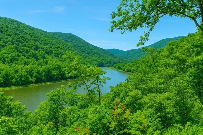 Local Removable Pool Fence Service in Bluefield, WV