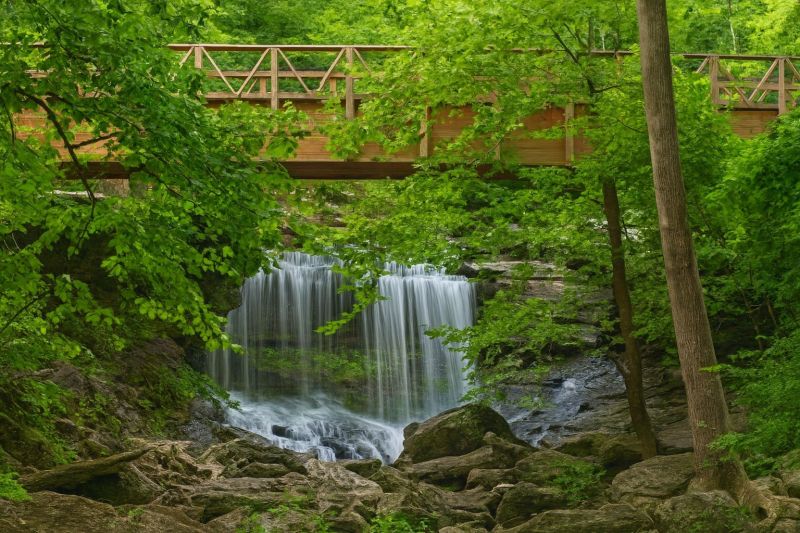 Local Removable Pool Fence Service in Bella Vista, AR