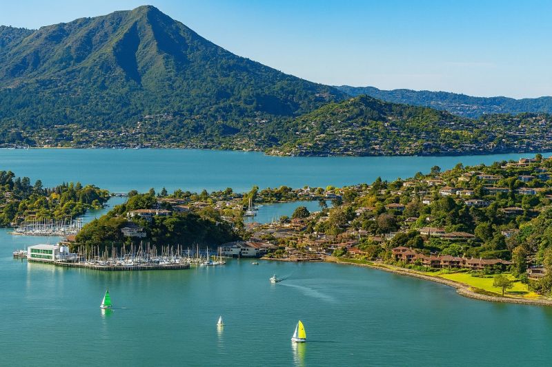 Local Wood Fence Installation in Belvedere Tiburon, CA