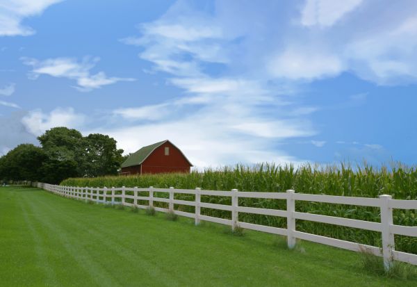 Farm Fence Repair Service