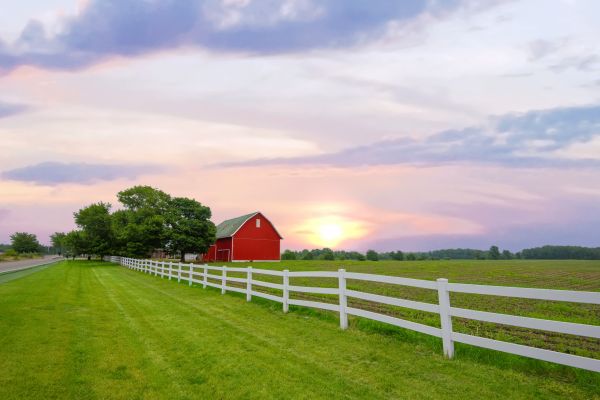 Farm Fencing Installation Service