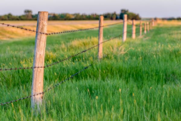Field Fence Installation Service