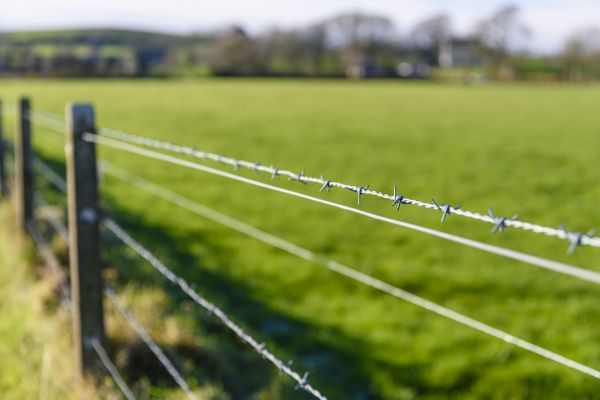 Game Fence Installation Service