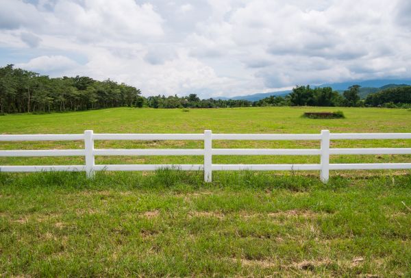 Field Fence Repair Service