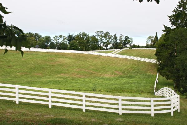 Livestock Fence Repair Service