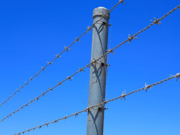 Wire Fence Replacement Service